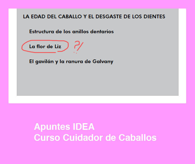 cursos_idea_cuidador_caballos_flor_de_lis