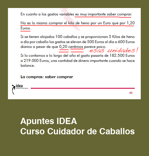 cursos_idea_cuidador_caballos_saber_comprar copy