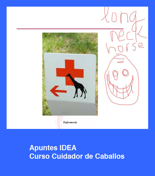 cursos_idea_cuidador_caballos_enfermeria