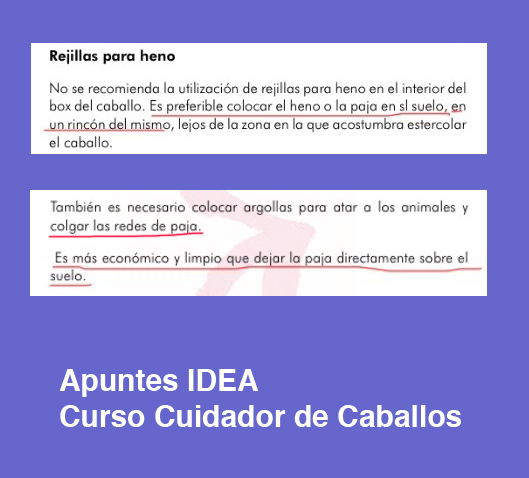 cursos_idea_cuidador_caballos_rejilla_heno