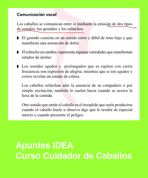 cursos_idea_cuidador_caballos_comunicacion_vocal