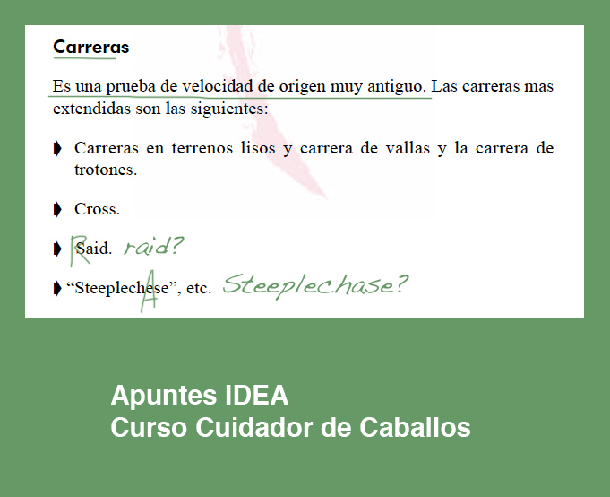 cursos_idea_cuidador_caballos_faltas