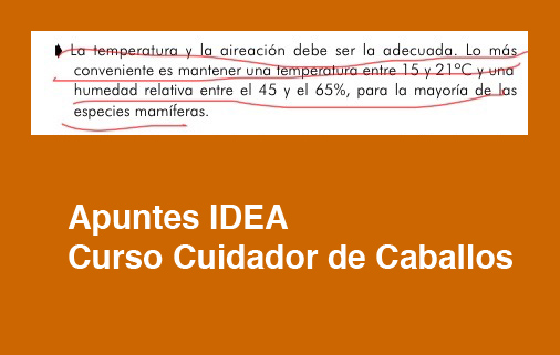 cursos_idea_cuidador_caballos_temperatura_ideal